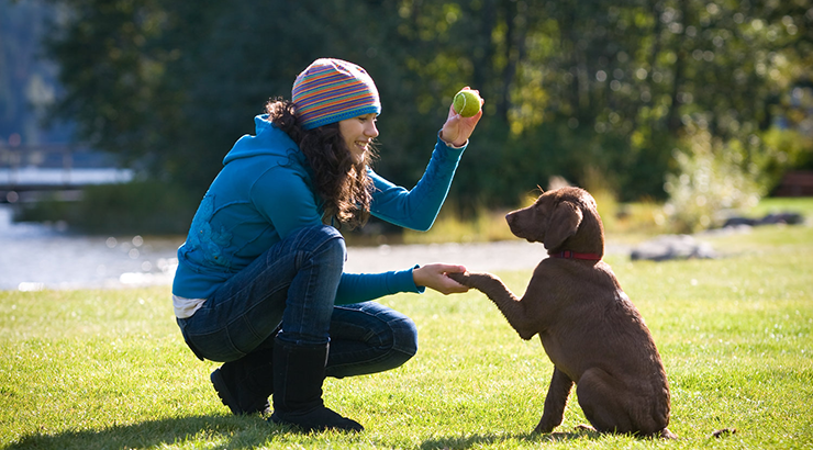 Behavioural Training